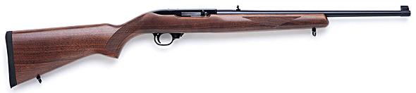 Ruger 10/22DSP